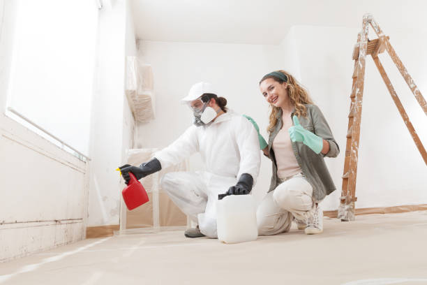  Niwot, CO Mold Removal Pros